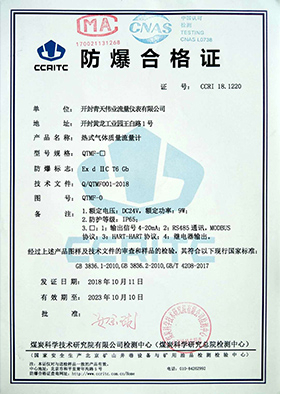 热式气体质量流量计