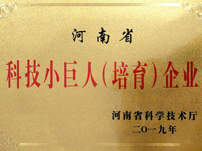 科技小巨人（培育）